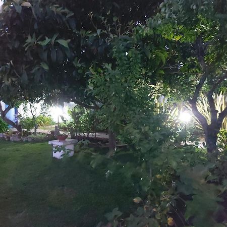 Vila Casa Do Sobral โอบิดอส ภายนอก รูปภาพ