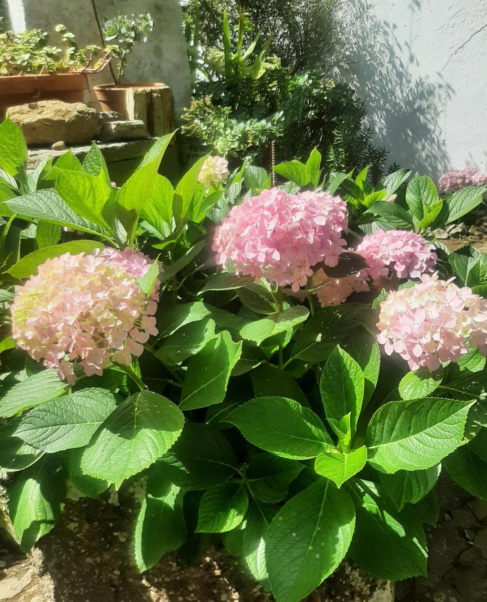 Vila Casa Do Sobral โอบิดอส ภายนอก รูปภาพ