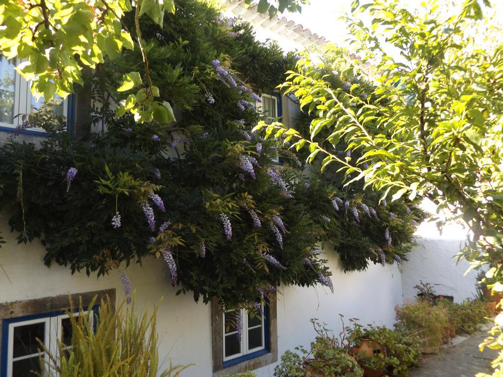Vila Casa Do Sobral โอบิดอส ภายนอก รูปภาพ