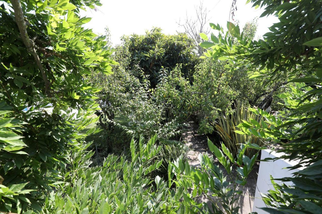 Vila Casa Do Sobral โอบิดอส ภายนอก รูปภาพ